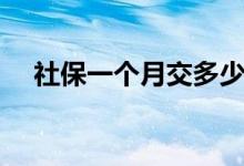 社保一个月交多少钱 社保信息在哪里查 