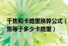 千焦和卡路里换算公式（卡路里和焦耳是怎样换算的呢1千焦等于多少卡路里）