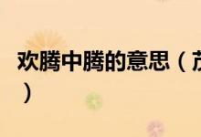 欢腾中腾的意思（茂腾腾和元气淋漓什么意思）