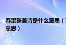 春望整首诗是什么意思（谁能告诉我《春望》整首诗的整首意思）