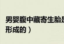 男婴腹中藏寄生胎是怎么回事（寄生胎是怎么形成的）