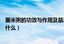 黑米粥的功效与作用及禁忌（黑米粥的功效与作用及禁忌是什么）