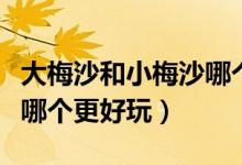 大梅沙和小梅沙哪个要门票（大梅沙和小梅沙哪个更好玩）