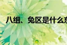 八组、兔区是什么东西（兔区到底怎么进）