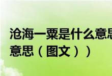 沧海一粟是什么意思怎么读（沧海一粟是什么意思（图文））