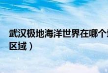 武汉极地海洋世界在哪个地铁站（武汉极地海洋世界在哪个区域）