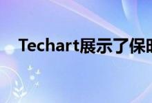  Techart展示了保时捷Boxster的新定制程序 