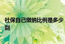 社保自己缴纳比例是多少 自己交社保和单位交社保有什么区别 