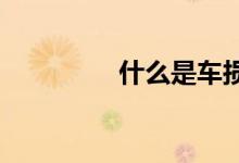  什么是车损险大约多少钱 