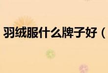 羽绒服什么牌子好（这几款都是驰名品牌！）