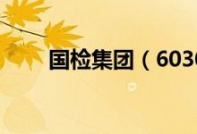 国检集团（603060）十大流通股东