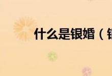 什么是银婚（银婚送什么礼物好）