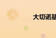大切诺基保养灯归零 