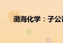 渤海化学：子公司PDH装置恢复生产
