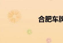  合肥车牌字母是什么 