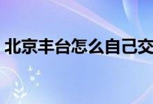 北京丰台怎么自己交社保 自己该如何交社保 