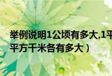 举例说明1公顷有多大,1平方千米有多大（举例说明1公顷,1平方千米各有多大）