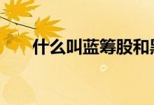 什么叫蓝筹股和黑马股 什么叫蓝筹股