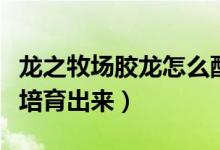 龙之牧场胶龙怎么配（龙之牧场胶龙用什么龙培育出来）