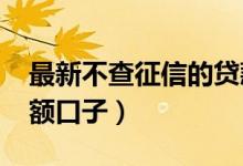 最新不查征信的贷款口子（2019不查征信大额口子）