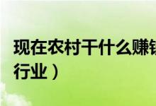 现在农村干什么赚钱（农村利润最高的不起眼行业）