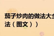 茄子炒肉的做法大全家常视频（茄子炒肉的做法（图文））