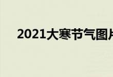 2021大寒节气图片（2021大寒是哪天）