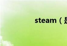 steam（是什么意思啊）