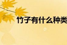 竹子有什么种类（竹子有什么品质）