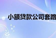 小额贷款公司套路（小额贷款公司利率）