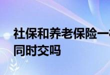 社保和养老保险一样吗 社保和养老保险可以同时交吗 