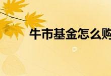 牛市基金怎么购买 牛市基金怎么买