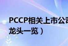 PCCP相关上市公司有哪些（PCCP上市公司龙头一览）