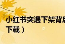 小红书突遇下架背后（安卓版小红书暂不提供下载）