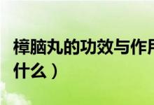 樟脑丸的功效与作用（樟脑丸的功效与作用是什么）