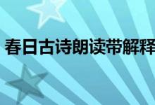 春日古诗朗读带解释（古诗《春日》的解释）