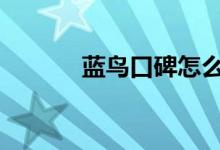  蓝鸟口碑怎么样 车主真实感受 