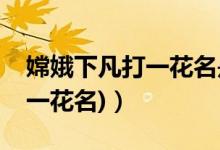 嫦娥下凡打一花名是什么成语（嫦娥下凡(打一花名)）
