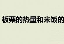 板栗的热量和米饭的热量（板栗的热量高吗）