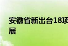安徽省新出台18项措施促进网络货运健康发展