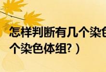 怎样判断有几个染色体组图解（怎样判断有几个染色体组?）