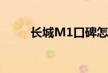  长城M1口碑怎么样 车主真实感受 