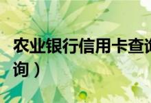农业银行信用卡查询电话（农业银行信用卡查询）