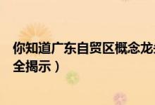 你知道广东自贸区概念龙头股都有哪些（广东自贸区龙头股全揭示）