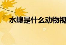 水螅是什么动物视频（水螅是什么动物）