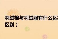 羽绒棉与羽绒服有什么区别（什么是羽绒棉和羽绒服有什么区别）