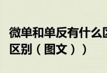 微单和单反有什么区别吗（微单和单反有什么区别（图文））