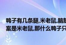 鸭子有几条腿,米老鼠,脑筋急转弯（什么老鼠只有两条腿,答案是米老鼠,那什么鸭子只有两条腿呢）