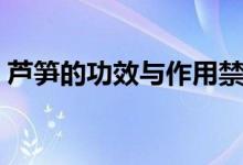 芦笋的功效与作用禁忌（芦笋的功效与作用）