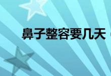 鼻子整容要几天（鼻子整容要多少钱）